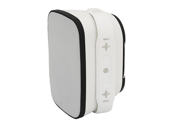 NEVOD DWS-880PW