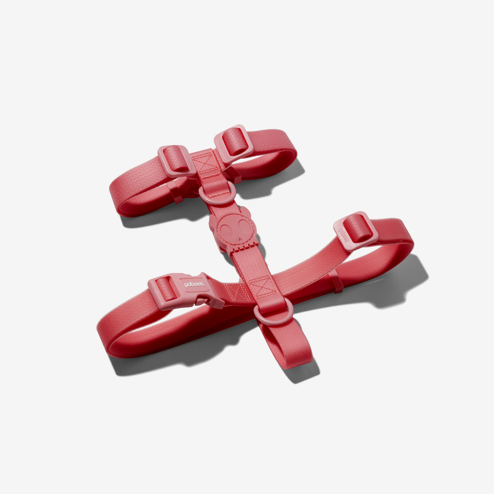 Шлейка NEOPRO BUBBLEGUM Zee.Dog, размер L