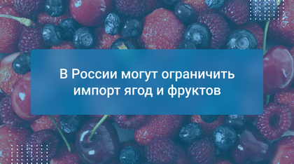 В России могут ограничить импорт ягод и фруктов
