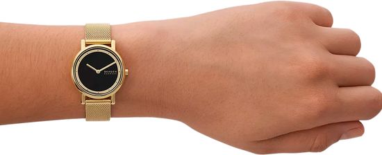 Женские часы Skagen SKW3111