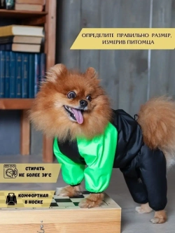 Комбинезон для мелких и средних собак