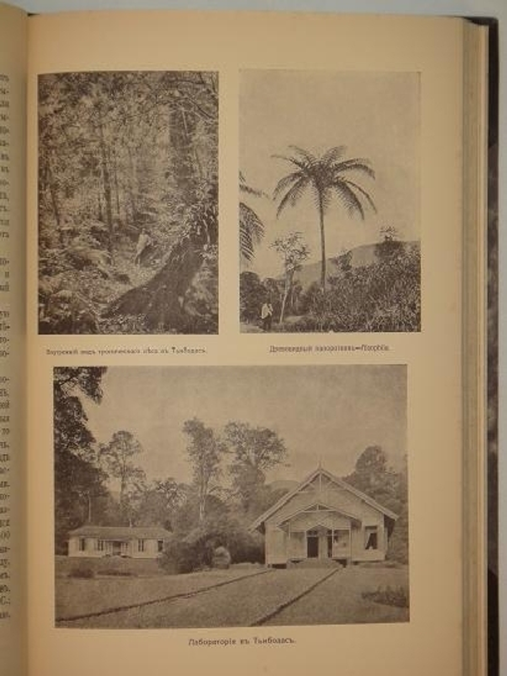 "По островам Малайского архипелага. Впечатления и наблюдения натуралиста". Проф. В.М. Арнольди. 1911г.