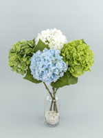 Гортензия одиночная Силикон