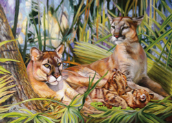 Коллекция Животные