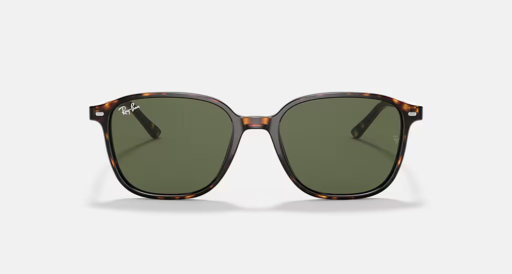 RAY-BAN LEONARD RB2193 902/31