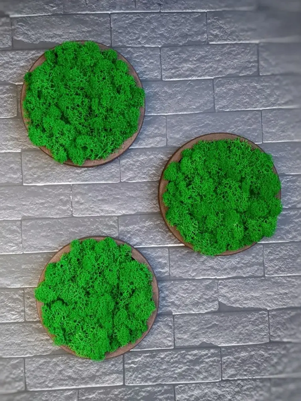 Панно из мха набор 3 шт.