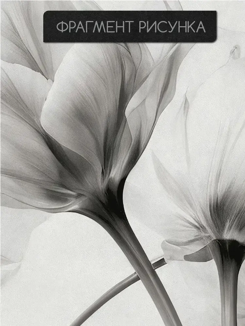 Фотообои Black Flowers 300х280 см флизелиновые Mondeco