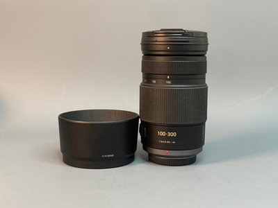 Panasonic Lumix G Vario 100-300 4.0-5.6 Mega O.I.S