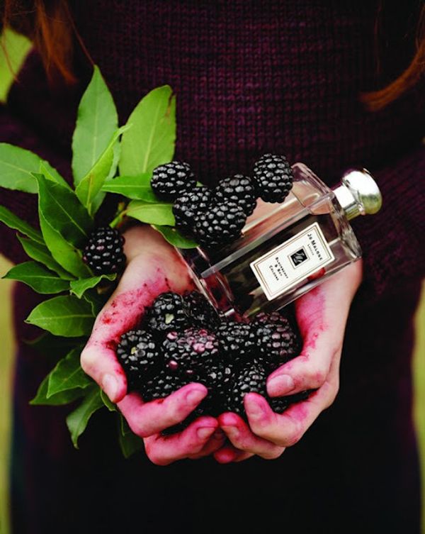 Jo Malone Blackberry and Bay