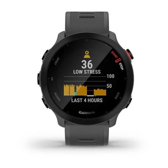 Умные часы Garmin Forerunner 55 серые (010-02562-13)