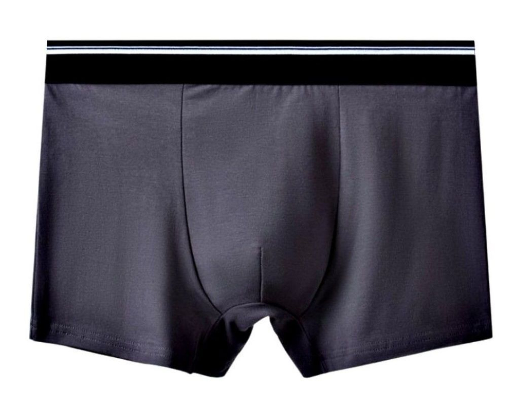 Мужские однотонные трусы-боксеры с резинкой в полоску (Размер: XL) (Цвет: темно-синий)