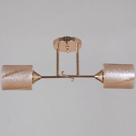 51460-0.3-02 FG светильник потолочный