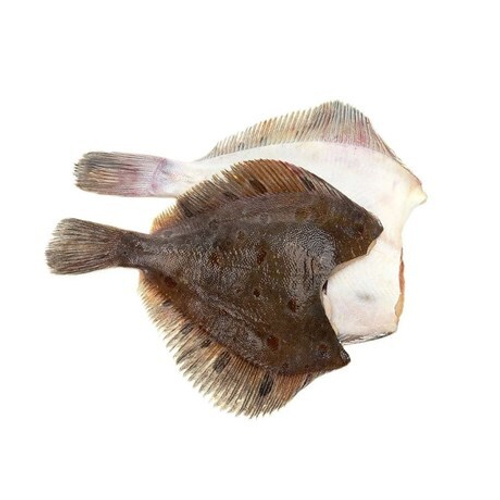 Камбала б/г (17 кг)