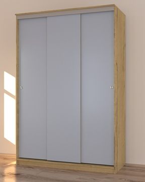 Шкаф-купе СТОУН-3 левый