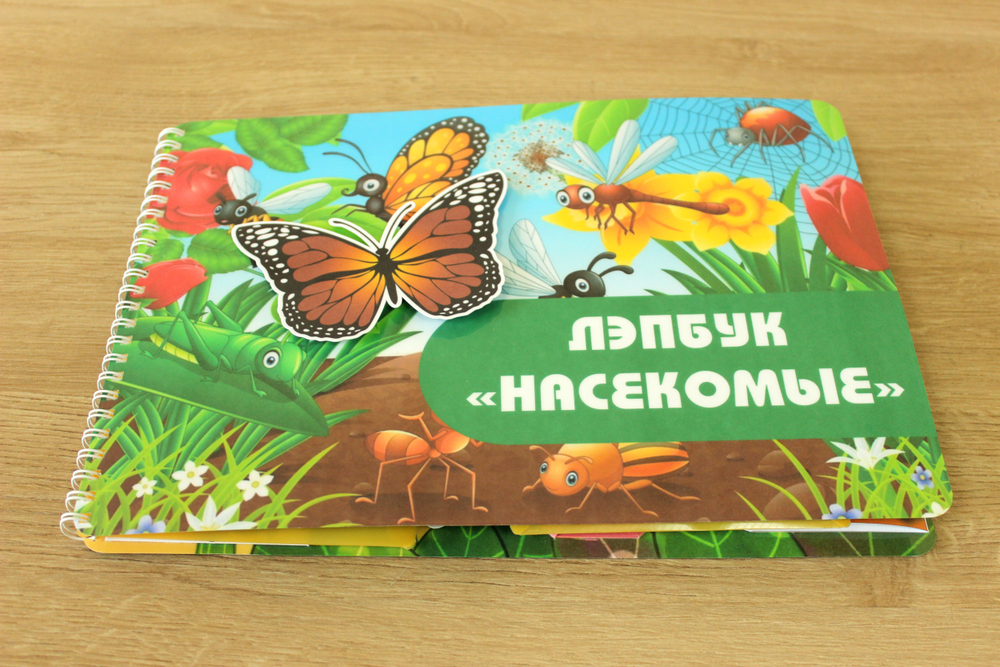 Лэпбук "Насекомые"