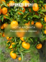 Отдушка парфюмерная Мандариновое дерево