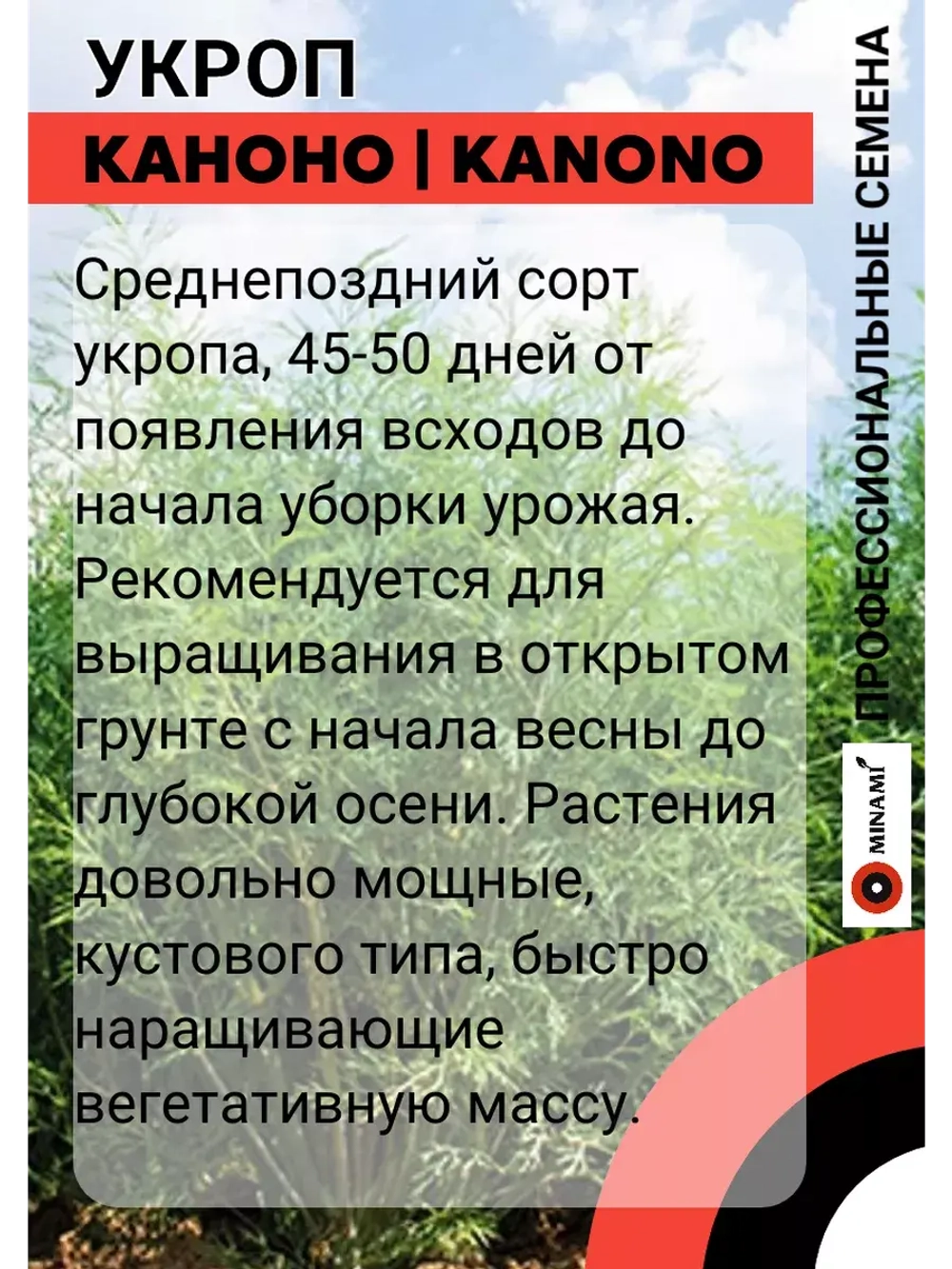 Укроп Каноно