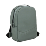 Коляска 2 в 1 Indigo Mio