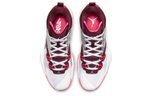 Кроссовки Air Jordan Zion 1 Pf "Marion"