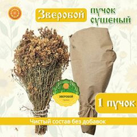 Зверобой (пучок)