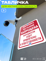 Табличка для частной территории "Парковка на газоне запрещена", на дом, для участка, организаций и частных территорий, предупреждающая, 40х30 см, Silver Plane x Айдентика Технолоджи