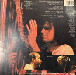 Виниловая пластинка Andreas Vollenweider ‎– Caverna Magica LP