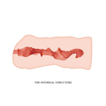 Мастурбатор-вагина Linda