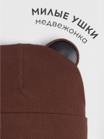 Шапка для мальчика осенняя с ушками