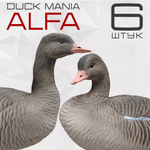 Серый гусь Duck Mania "ALFA" 6 штук
