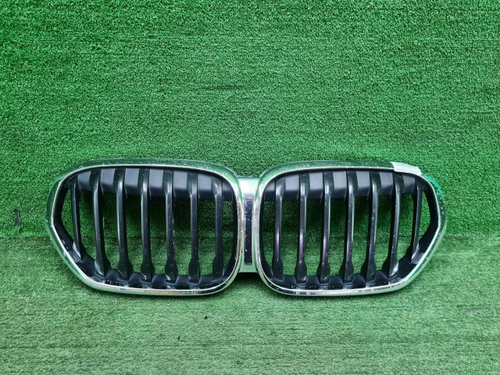 Решетка радиатора BMW X1 F48 (2019-2022)
