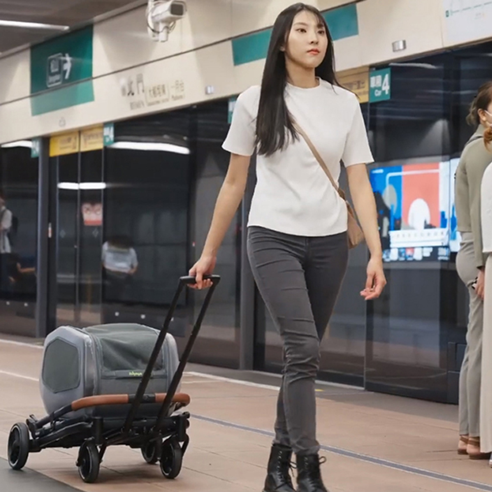 Коляска для собак/животных NeoRider Multi-purpose Detachable Pet Stroller-Wagon for Small Breed Dogs, Cats and Puppies – Silver Mist