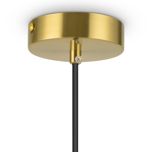 Подвесной светильник Freya Eleon FR5218PL-01BS