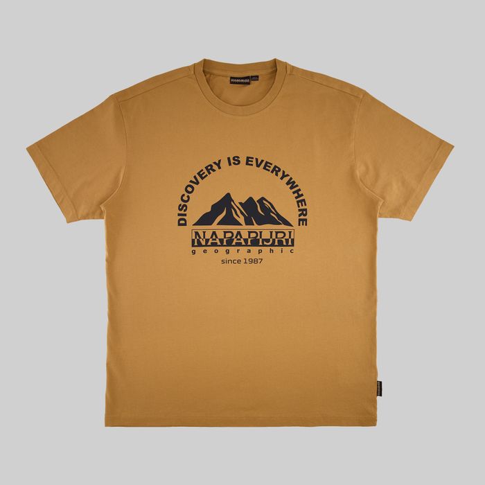 Футболка мужская Napapijri S-Freestyle Short Sleeve T-Shirt артикул:NA4HFSN97 - купить в магазине Дайс