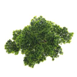 GAEM Дерево искусственное "Бонсай", L53 W37 H65 см