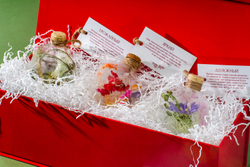 Набор Лето в льдинке