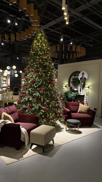 Dantone Home Новый Год