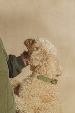 Ошейник "Пони-узелкони" Бежево-зеленый