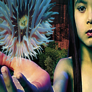 The Future Sound Of London / Lifeforms (2LP)