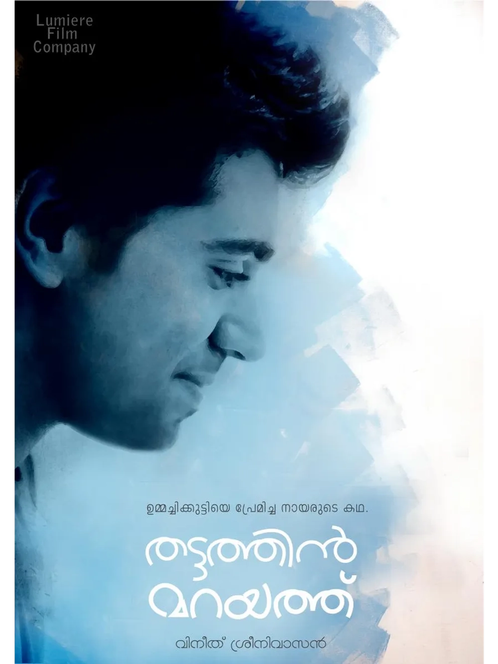 Потаённая краса (2012) (DVD-R)