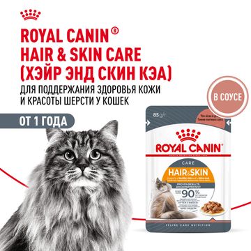 Royal Canin Hair & Skin Care влажный корм в СОУСЕ для поддержания красоты и здоровья шерсти кошек старше 1 года