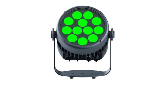 STAGE4 REPAR 12X10FAU IP прожектор LED PAR, 120Вт