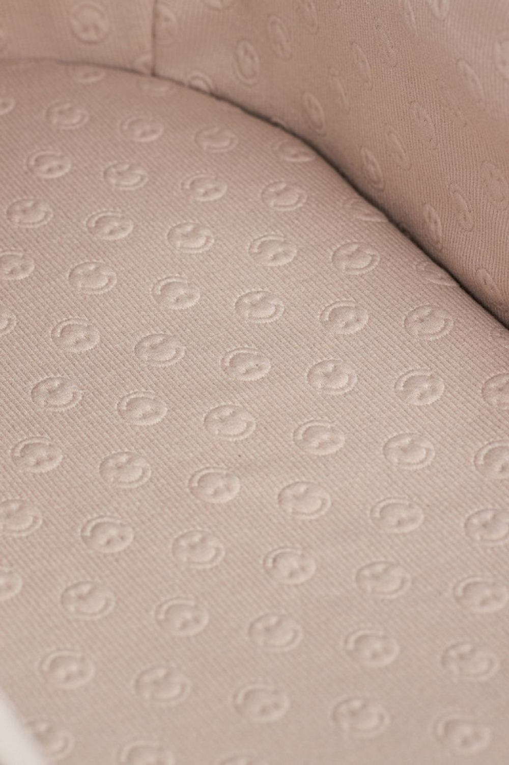 Детская коляска Anex e/type 2 в 1 joy