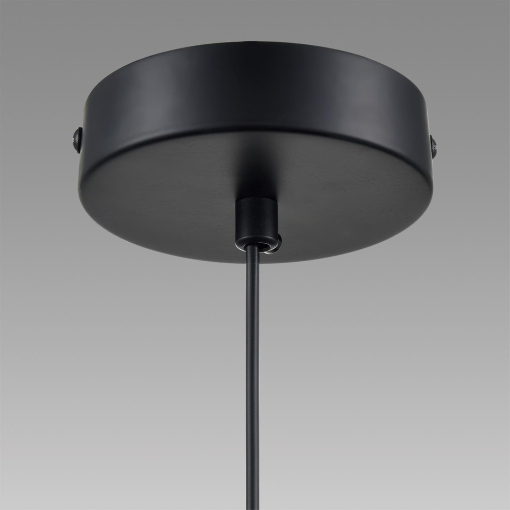 Подвесной светильник Lumion ISHA 8101/1A