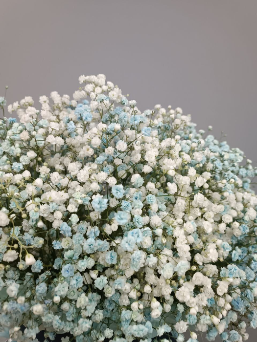 Композиция из гипсофилы &quot;Небесная чистота&quot;