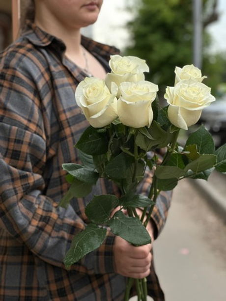 Белая роза сорт «Мондиаль» (Эквадор)