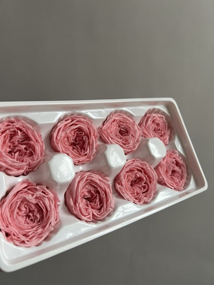 Роза пиновидная ярко-розовая d=4-5 см (упак 8 шт)