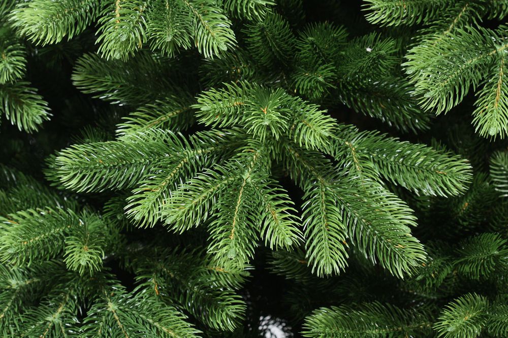 Ель искусственная «Королева леса Pro» (Литая хвоя) 185 см / 1,85 м