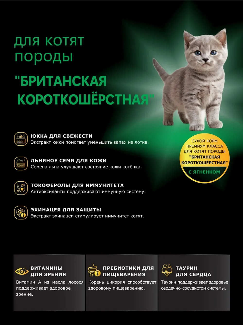 Корм для котят Британская короткошёрстная, с ягненком, 2 кг