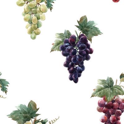 Виноград