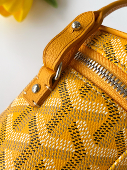 Goyard Muse Nano Vanity